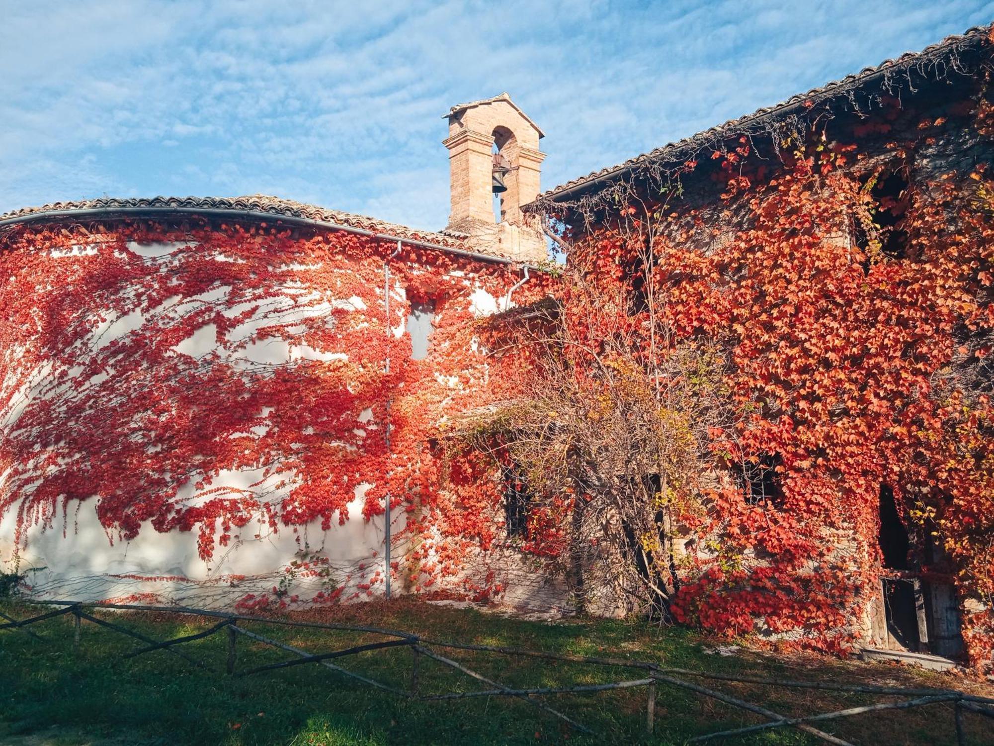 Villa Castello Di Baccaresca à Branca Extérieur photo